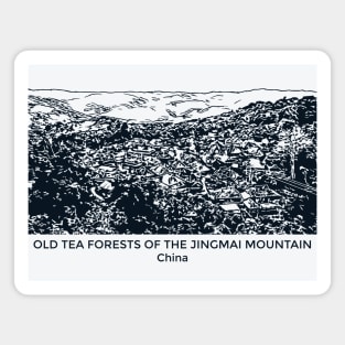 Old Tea Forests of the Jingmai Mountain - China Magnet